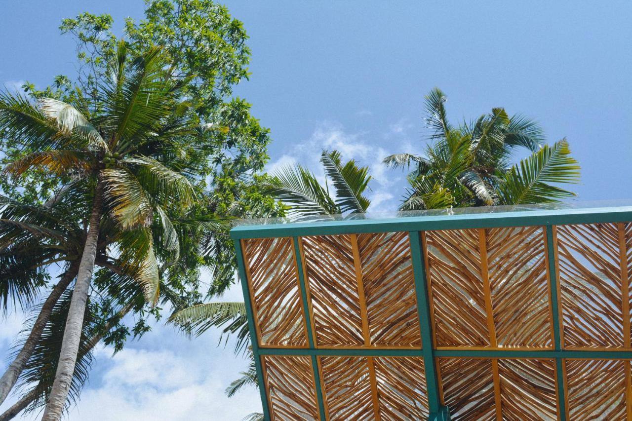 Dots Bay House Hotel Dikwella Exterior foto